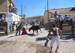Animanaturalis denuncia el maltrato a animales en las fiestas populares riojanas