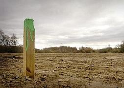 Parcela en los Sotos de Alfaro de la que se arrancó la vegetación y colocadas estacas para delimitar la propiedad de un familiar de Vallejo. // JUSTO RODRÍGUEZ