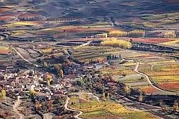 Plantaciones de viura en otoño en Cordovín, una de las pocas localidades que ha mantenido esta variedad. ::                         J. RODRÍGUEZ