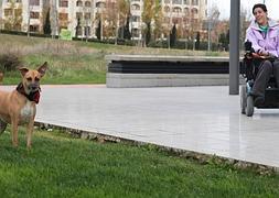 No hacen falta palabras