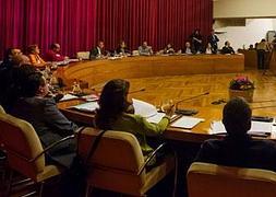 Sesión plenaria en el Ayuntamiento de Logroño, en una imagen de archivo./J. Herreros