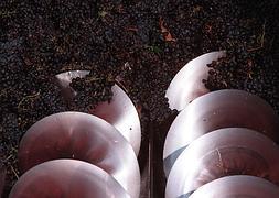 Las bodegas de la DOC Rioja guardan en existencias 738 millones de litros de vino