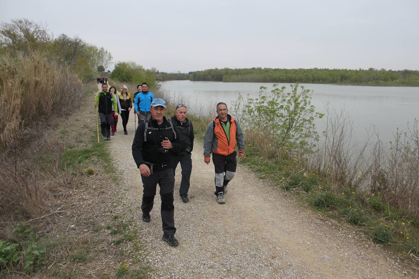 Caminantes de la Marcha Solidaria Reserva Natural Sotos del Ebro 