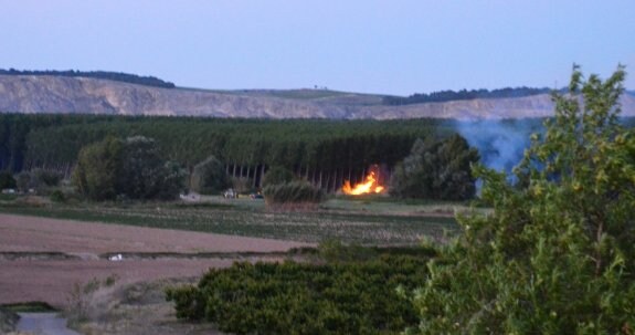 Últimas llamas del incendio en los sotos del Ebro. 