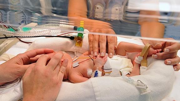 Los padres visitarán a sus bebés ingresados en el San Pedro cuando quieran