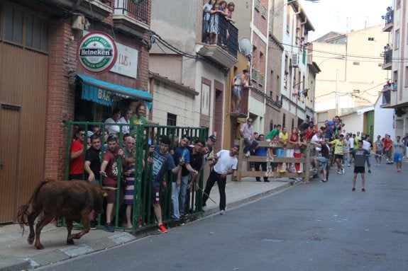 El encierro congregó en la tarde a cientos de personas. 