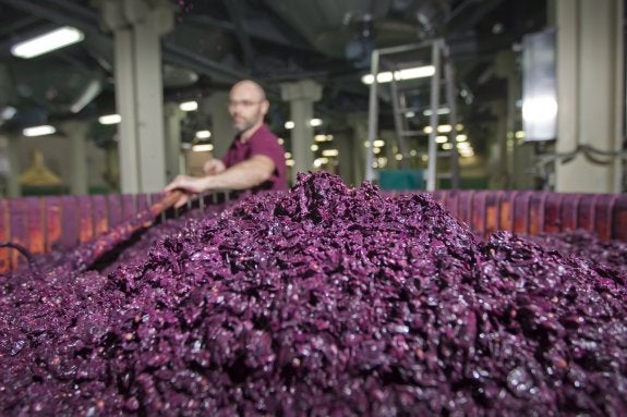 El espectáculo está en la bodega