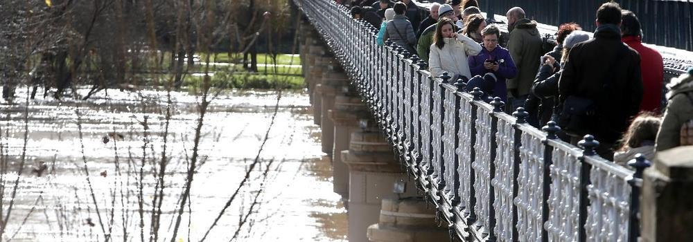 Los curiosos se han acercado a ver el río