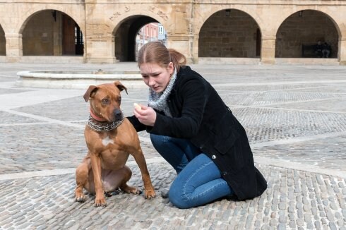 Sua con su actual dueña, Aleksandra Skorik, en la plaza de España de Santo Domingo. :: albo