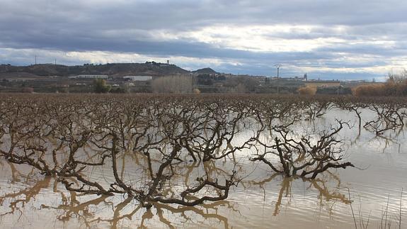 Ibercaja anuncia ayudas a los afectados por las inundaciones del Ebro