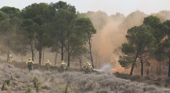 Un retén forestal, durante un simulacro de intervención realizado el pasado verano en Calahorra. :: sonia tercero