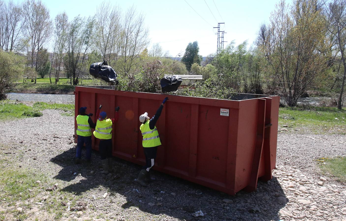 Una brigada limpia el entorno natural del Ebro. 
