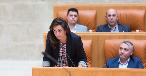 Andreu interviene en el pleno desde su escaño. :: sonia tercero