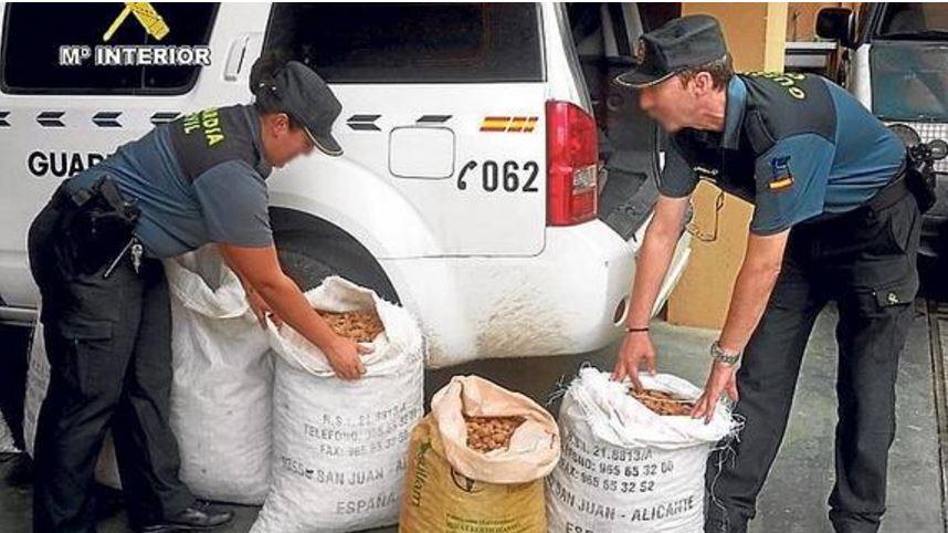 Agentes de la Guardia Civil con las almendras intervenidas en Alicante. 