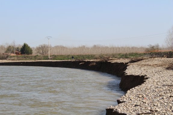 Amigos de la Tierra ve «inútil» lña obra en los sotos del Ebro