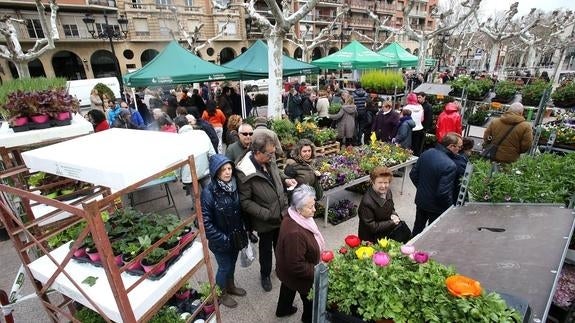 El escaparate de las semillas y los viveros