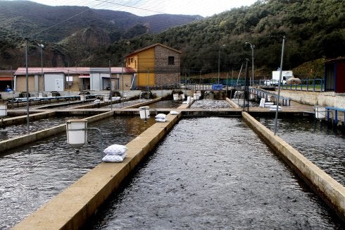 Piscifactoría en Viguera. :: m.h.