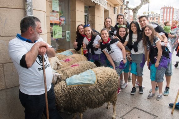   Por un privilegio real. Una cuadrilla se fotografía junto a los carneros del Santo, que ayer estuvieron bastante huidizos.