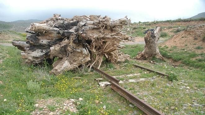 La vía del tren desaparece en Valverde