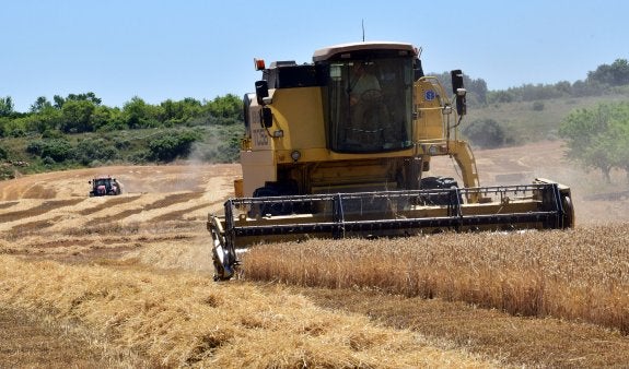 La cosecha de la cebada ya está finalizada y la del trigo está a punto de hacerlo en la comunidad riojana. :: miguel herreros