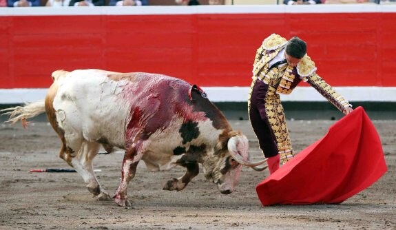 Un natural de Diego Urdiales al toro 'Atrevido' de Alcurrucén del pasado miércoles en Bilbao. :: carmelo bayo
