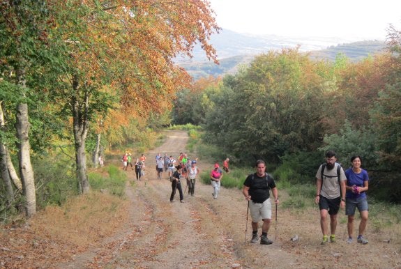 Caminando entre bosques llenos ya de los colores del otoño. 