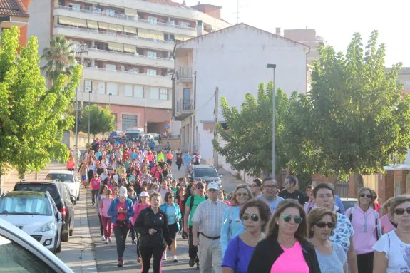 El numeroso grupo de caminantes al principio de la marcha, antes de llegar al parque del Cidacos. :: 