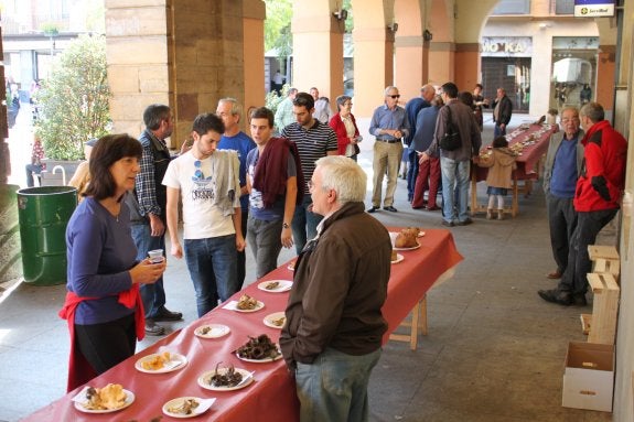 Imagen de la exposición en las jornadas del año pasado. :: 