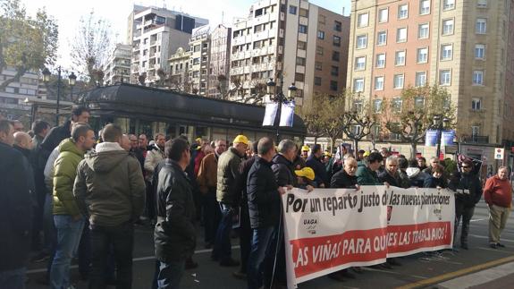 Viticultores de Rioja reclaman un reparto «justo» y «profesional» del viñedo