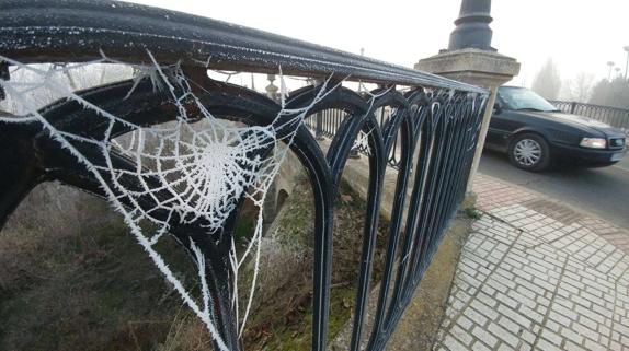 Telaraña helada esta mañana en Santo Domingo