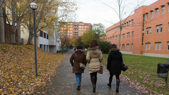 Tres estudiantes caminan por el campus universitario. 