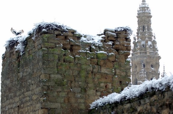 Una imagen de archivo, de las cigüeñas en uno de los torreones de la avenida de Burgos. :: albo