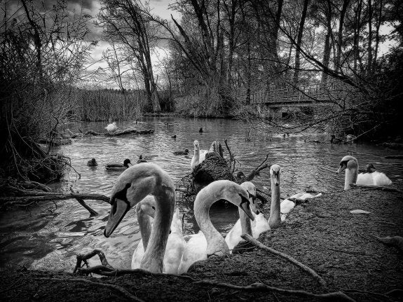 FOTO GANADORA. 'El rincón', de Ángel Benito Zapata, una imagen tomada en La Grajera.