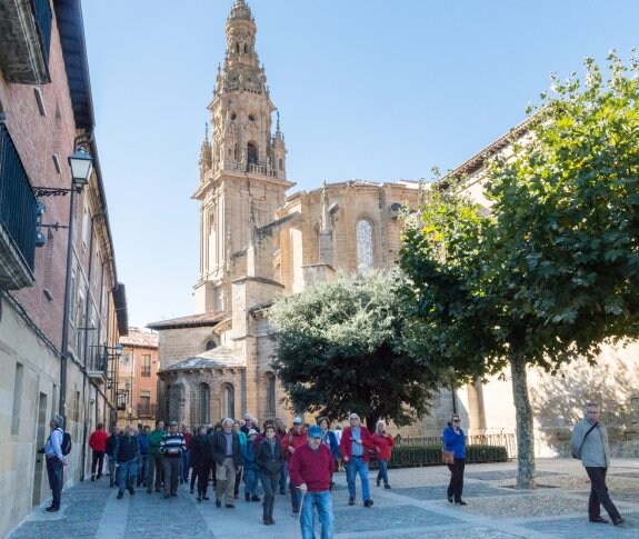 Grupo de turistas en Santo Domingo de la Calzada. :: albo