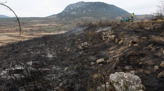 Terreno quemado en Ribafrecha, en noviembre del año pasado