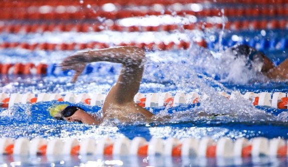 Un nadador participa en una prueba de estilo libre. :: F.D.