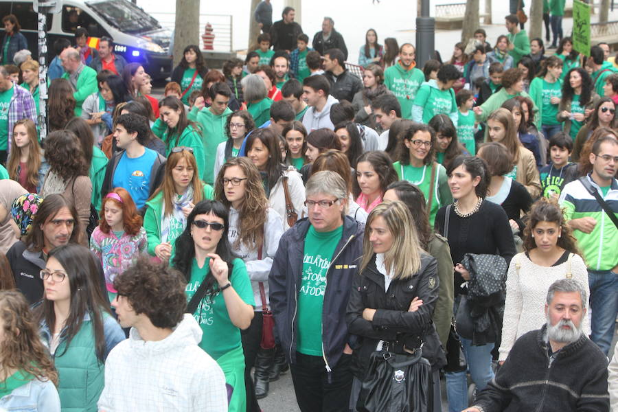 Manifestación por las calles de Logroño contra la LOMCE. 