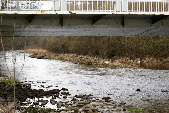 Las isletas en el río Najerilla presentaron más dificultades de las calculadas para su poda. :: 