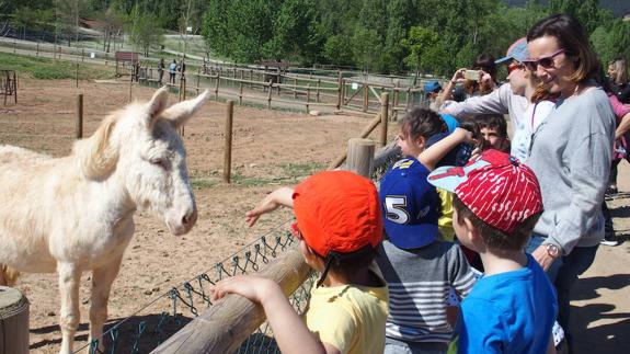 Los niños disfrutan de la granja de animales de La Grajera. 