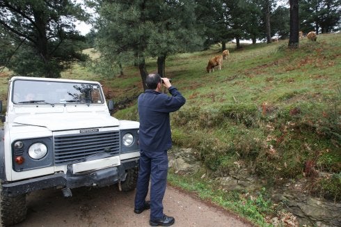 El Gobierno considera inviable armar a los 6.000 agentes forestales