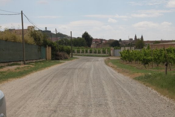 La Nava es uno de los caminos que recorren los Sotos del Ebro. :: E.P.