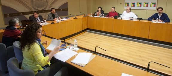 Un momento de la comisión celebrada ayer en el Parlamento. :: 