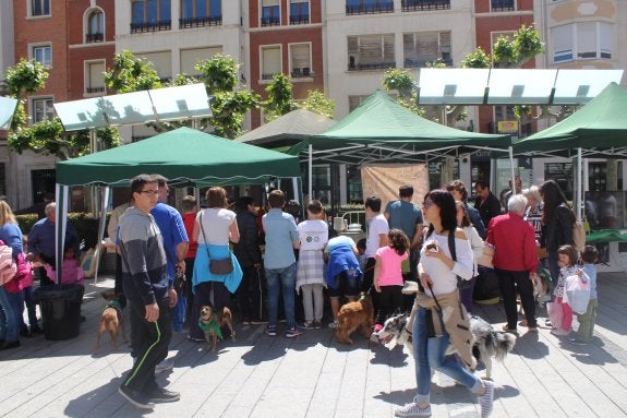 Dueños y mascotas pudieron tomar un pincho tras el paseo. :: 