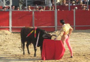 AL NATURAL. El arnedano cortó dos orejas al primer toro en la corrida del domingo en Colombia. /JAVIER BAQUERO (WWW.VOYALOSTOROS.COM)