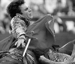 ¿Torero o suicida?