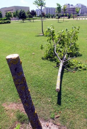 Los cortes se hicieron con sierra.
