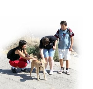 Usuarios del centro Leo Kanner para el autismo, en el refugio de la Protectora de Animales. ::                             MIGUEL HERREROS