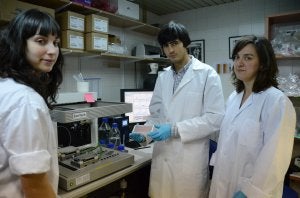 Investigadores del laboratorio de la Facultad de Medicina de Salamanca. ::
M. BARROSO