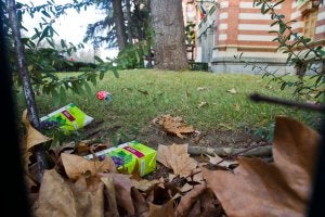 La ESDIR trata de mantener sus jardines lo más cuidados posible, aunque aparecen botellas, latas y cartones a diario. ::                         JUSTO RODRÍGUEZ