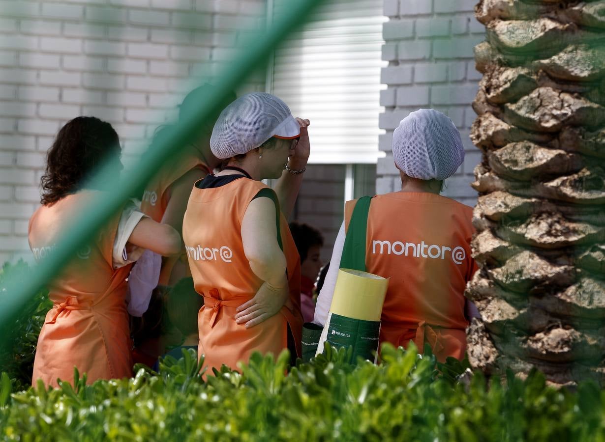 La salmonelosis originó la intoxicación de los niños del colegio de Rafelbunyol